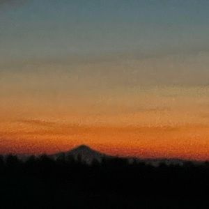 Meet your Posher, Brody